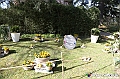 VBS_0547 - Messer Tulipano 2026 - Inaugurazione